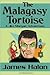 The Malagasy Tortoise
