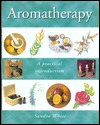 Aromatherapy: A Practical Introduction (Hardcover)