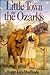 Little Town in the Ozarks (Little House: The Rose Years, #5)