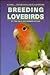 Breeding Lovebirds