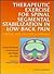 Therapeutic Exercises for Spinal Segmental Stabilization in Low Back Pain: Scientific Basis and Clinical Approach