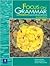 Focus on Grammar, Second Ed...