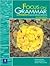 Focus on Grammar, Second Edition (Student Book, Intermediate Level)