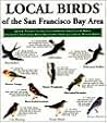 Local Birds of the San Francisco Bay Area: Laminated