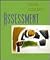Assessment