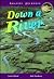 Down a River (Amazing Journeys)
