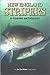 New England Stripers by Bill Brett