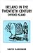Ireland in the Twentieth Century: Divided Island (British History in Perspective)