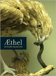 Æthel (Paperback)