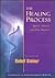 The Healing Process: Spirit, Nature & Our Bodies : Lectures August 28, 1923 - August 29, 1924 (Foundations of Anthroposophical Medicine)