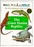 The Great Marine Reptiles