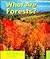 What are Forests? (Earth Features)