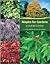 Maples for Gardens: A Color Encyclopedia