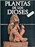Plantas de los Dioses. Orígenes del uso de los alucinógenos by Richard Evans Schultes