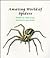 Amazing World of Spiders (Learn-About Books)