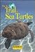 On the Trail of Sea Turtles