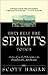 They Felt The Spirit's Touch: Stories of how the Holy Spirit works through people...just like you!