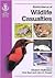 BSAVA Manual of Wildlife Casualties