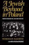 A Jewish Boyhood in Poland by Norman Salsitz