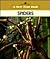 Spiders (New True Book)