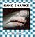 Sand Sharks
