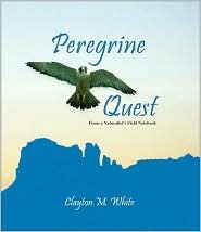 Peregrine Quest: From a Naturalist's Field Notebook (Hardcover)