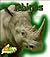 Rhinos (Giant Animals)