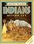 Great Plains Indian Action Set