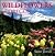 Wildflowers of Oregon by Steve Terrill