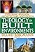 Theology in Built Environme...
