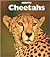 Cheetahs by Jenny Markert