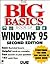 The Big Basics Book of Windows 95