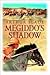 Megiddo's Shadow