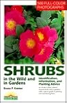 Shrubs in the Wil...