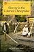Slavery in the Colonial Chesapeake (The Foundations of America)