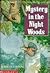 Mystery in the Night Woods by John Lawrence Peterson