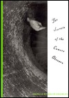 The Secrets of the Camera Obscura: Novella (Hardcover)