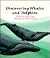 Discovering Whales and Dolphins