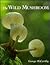The Wild Mushroom: A Photographic Exploration of Fungi in the Wild