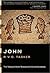The Gospel According to John: An Introduction and Commentary (Tyndale New Testament Commentaries)