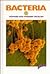 Bacteria (Invaders)