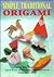 Simple Traditional Origami