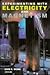 Experimenting With Electricity and Magnetism (Venture Book)