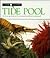 Tide Pool (Look Closer)