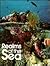 Realms of the Sea