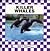 Killer Whales