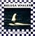Beluga Whales