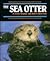 The Sea Otter (Endangered In America)