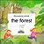 The Forest (Discovering Nature Series)