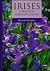 Irises: A Practical Gardening Guide